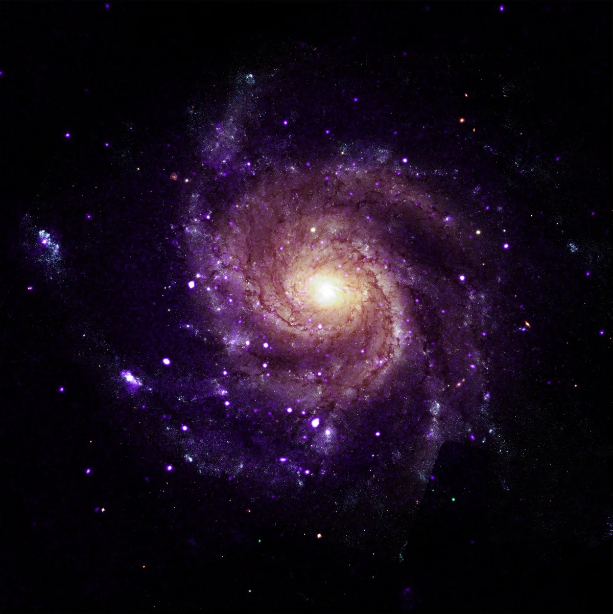 NASA’nın Chandra X-Işını Teleskobu Fırıldak Galaksisi'nde Gizemli Cisimler Ortaya Çıkardı
