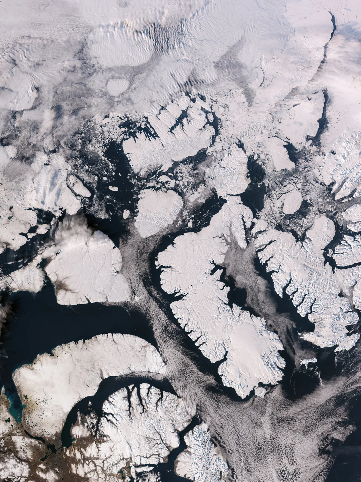 Copernicus Sentinel-3C Uydusundan Kuzey Kutbu'na İlk Bakış: İklim Değişikliğinde Kritik Takip Başladı