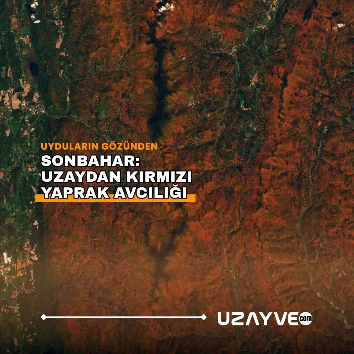 Uyduların Gözünden Sonbahar: Uzaydan Kırmızı Yaprak Avcılığı