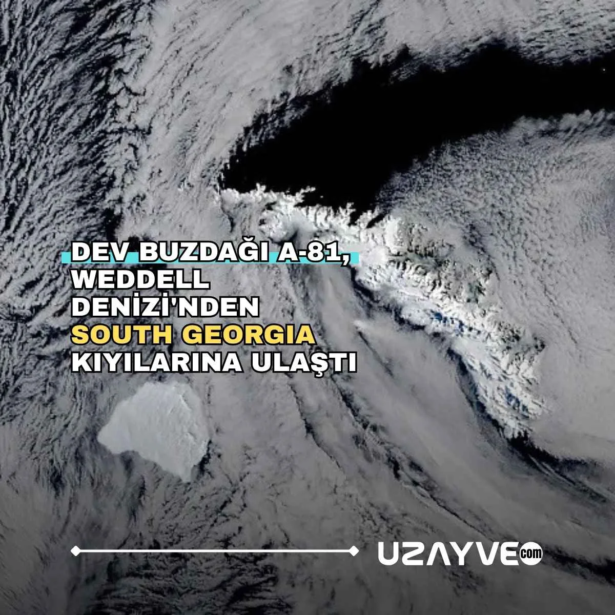 Dev Buzdağı A-81, Weddell Denizi'nden South Georgia Kıyılarına Ulaştı