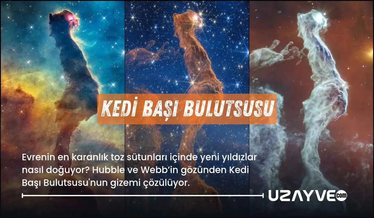 Hubble ve Webb Teleskopları Carina Bulutsusu'ndaki Kedi Başı Bulutsusu'nu Gözler Önüne Serdi
