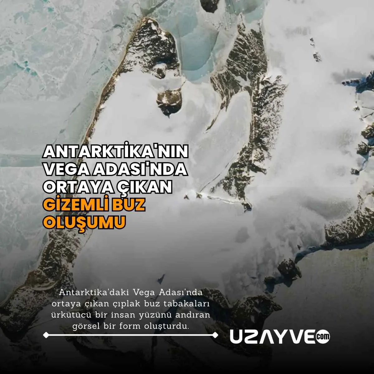 Antarktika'nın Vega Adası'nda Ortaya Çıkan Buz Oluşumu: Doğanın Yüzü