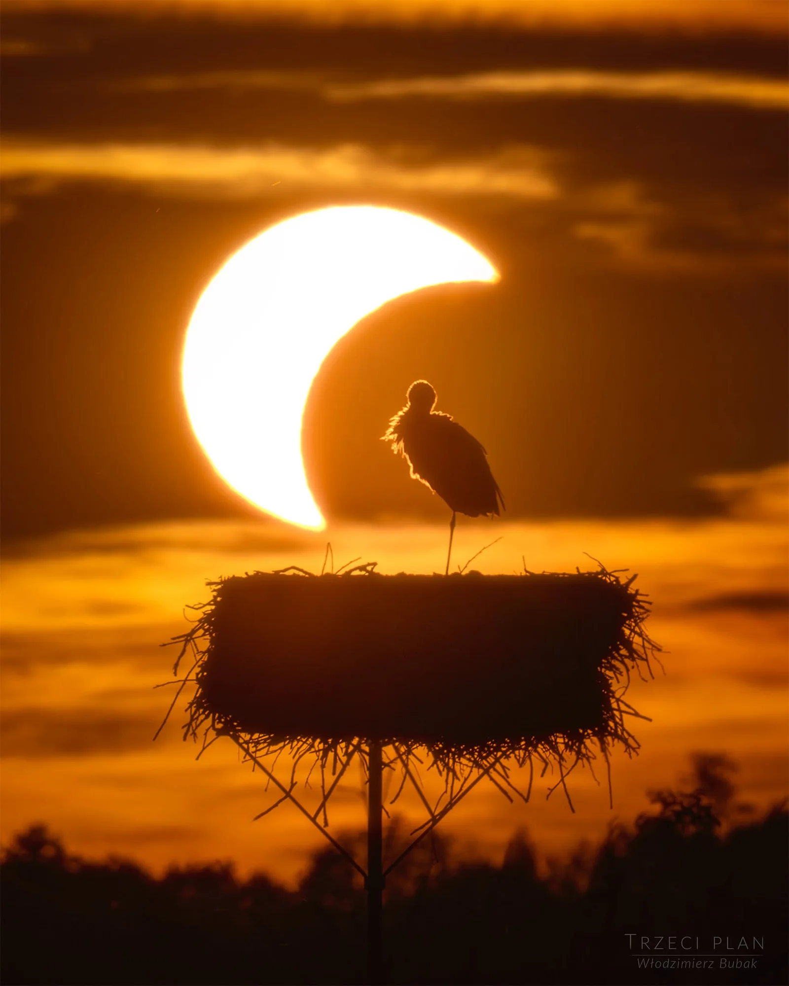The Eclipse and the Stork | UzayVe APOD